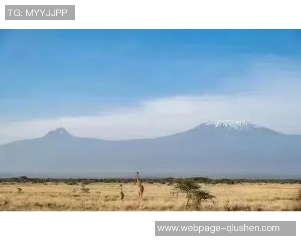 布莱克尼的神秘传说与历史遗迹探索之旅